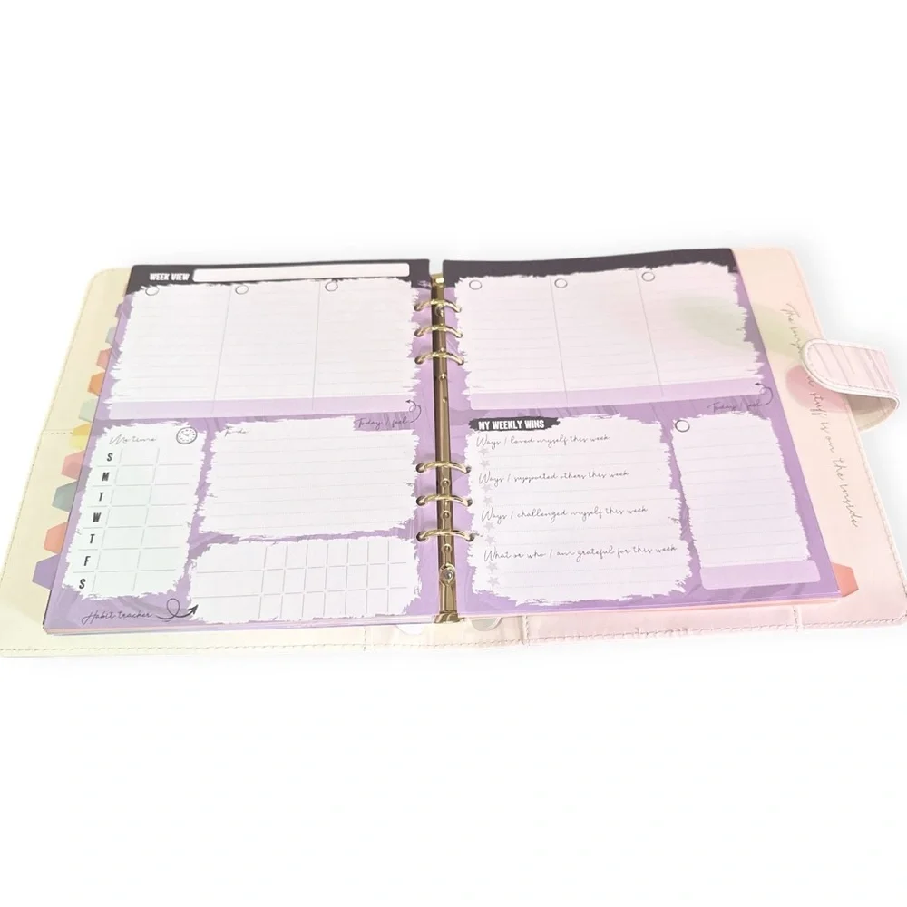 Self Funding Luxury Undated 12 Month Planner / Daily Organizer, Pink Marble, NEW